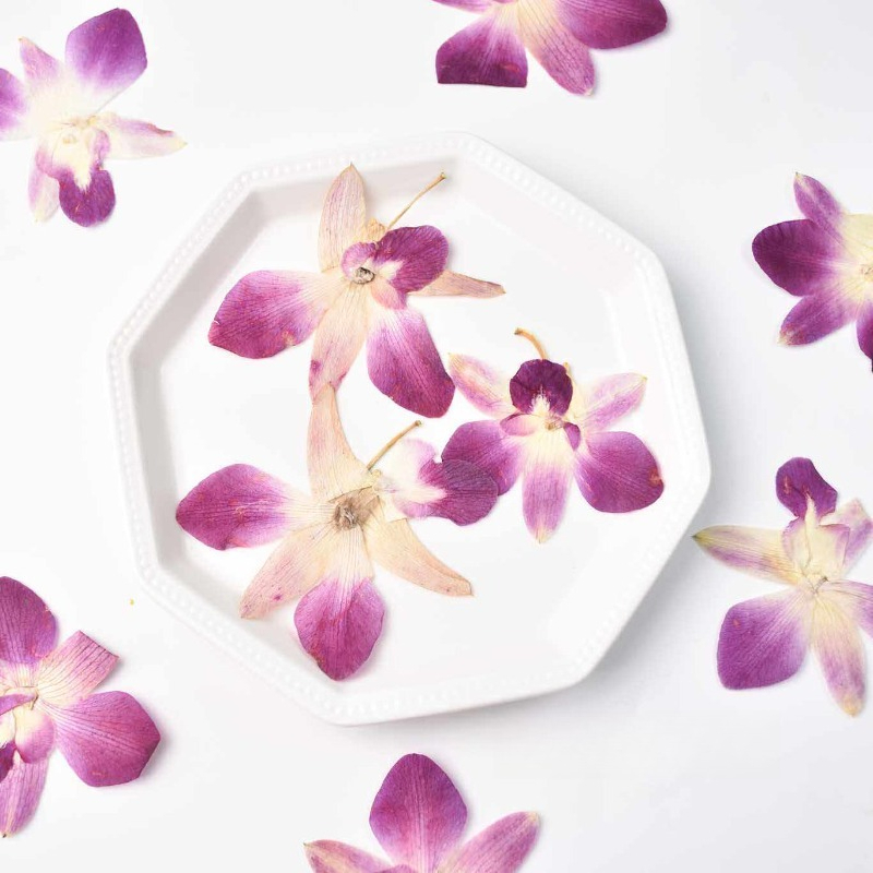 4pcs,Real Pressed Butterfly Or - Resin Art Frame reseña y precio