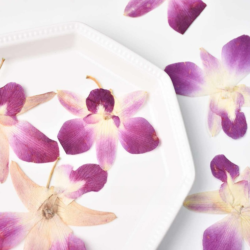 4pcs,Real Pressed Butterfly Or - Resin Art Frame reseña y precio
