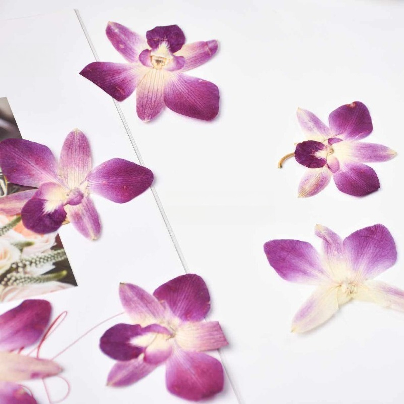 4pcs,Real Pressed Butterfly Or - Resin Art Frame reseña y precio