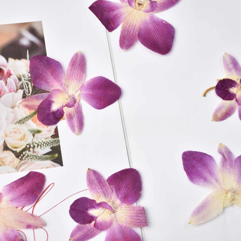 4pcs,Real Pressed Butterfly Or - Resin Art Frame reseña y precio