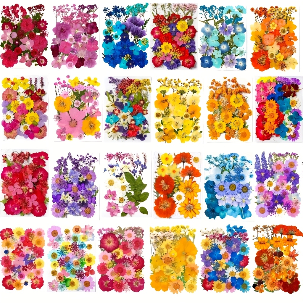 500pcs of Random Materials for - Resin Art Frame reseña y precio