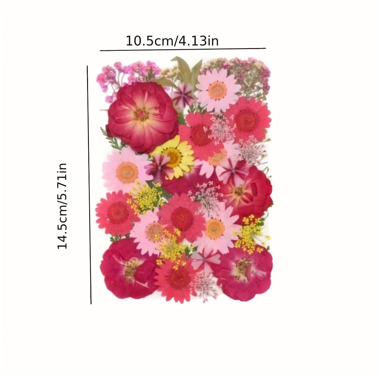 500pcs of Random Materials for - Resin Art Frame reseña y precio