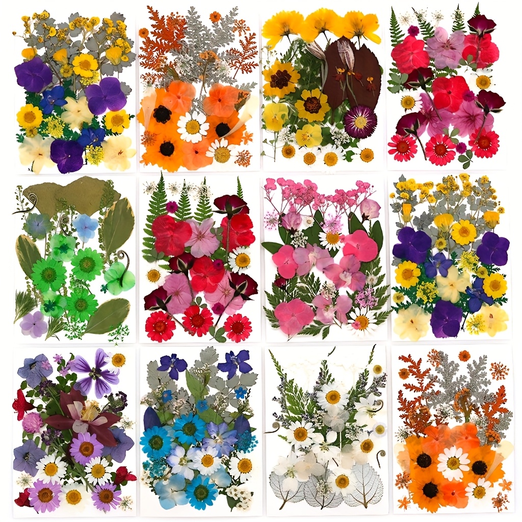 500pcs of Random Materials for - Resin Art Frame reseña y precio