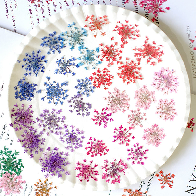 24pcs,2-2.5cm,nature Dyed Mini - Resin Art Frame reseña y precio