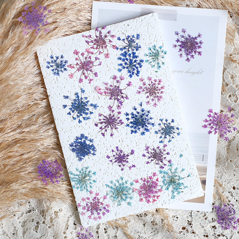 24pcs,2-2.5cm,nature Dyed Mini - Resin Art Frame reseña y precio