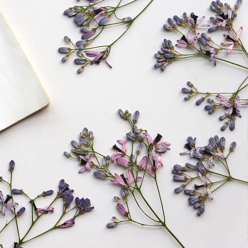 60Pcs Neem Tree Flower Branche - Resin Art Tree reseña y precio